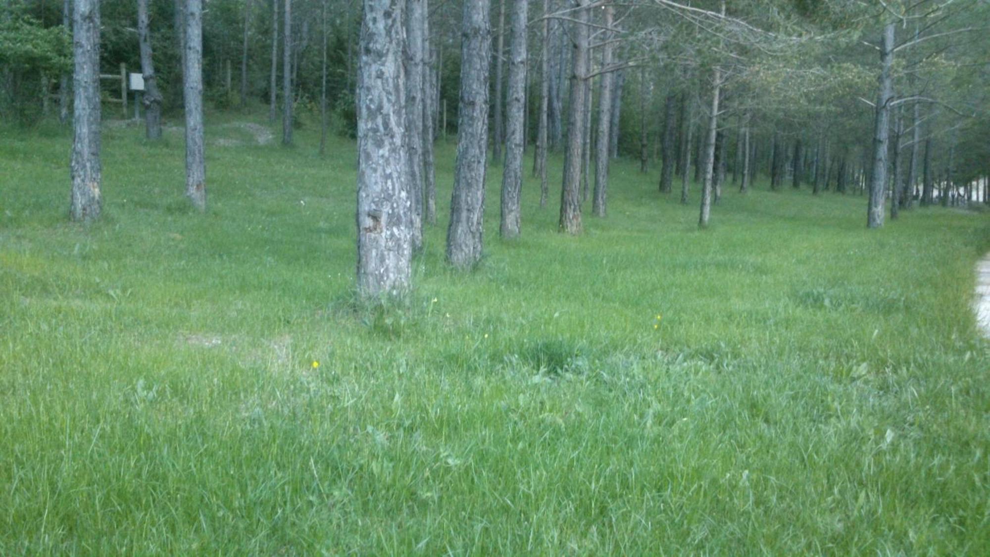 Camping L'Espelt La Pobla de Lillet Zewnętrze zdjęcie