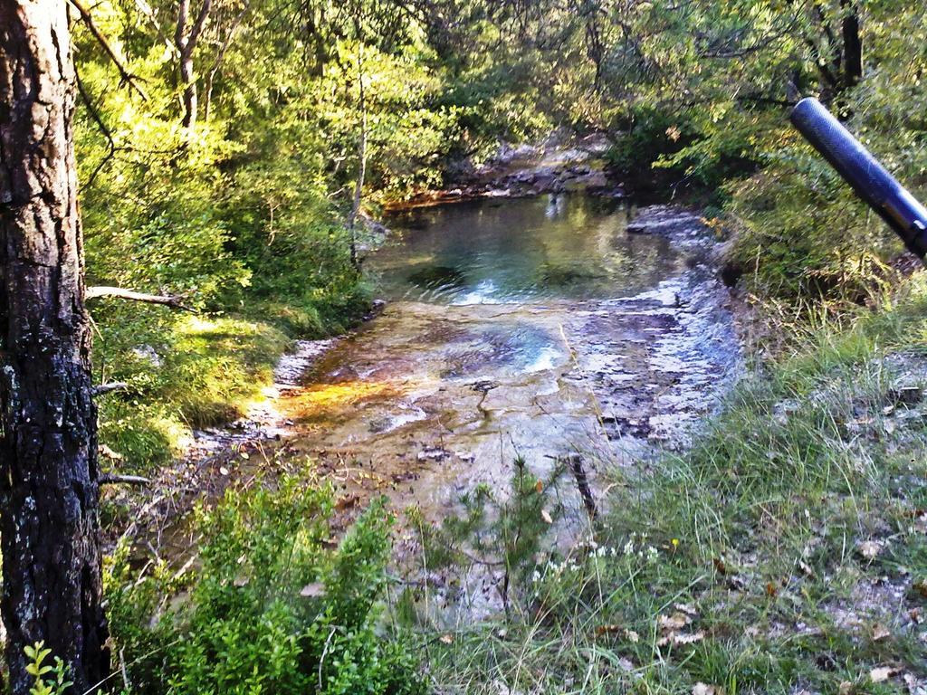 Camping L'Espelt La Pobla de Lillet Zewnętrze zdjęcie